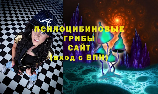 стафф Горно-Алтайск