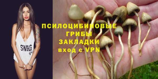 первитин Горняк