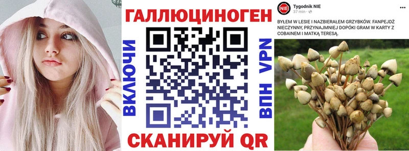 Галлюциногенные грибы MAGIC MUSHROOMS  Остров 
